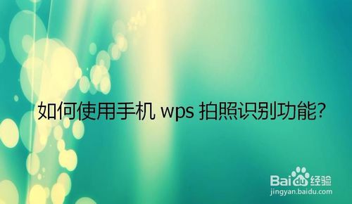 教你怎么使用手机wps拍照识别功能