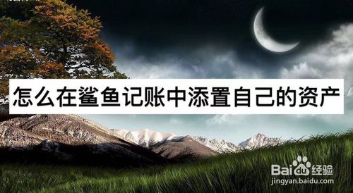 我来分享如何在鲨鱼记账中添置自己