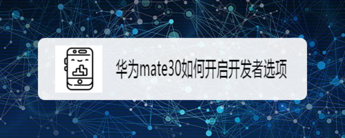 关于华为mate30在哪打开开发者选项