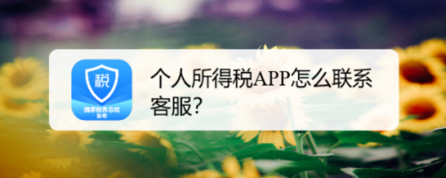 我来分享个人所得税APP人工客服电