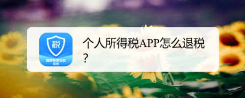 我来教你个人所得税APP怎么申请退