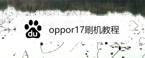 教你oppor17怎么刷机。