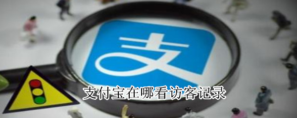 我来教你支付宝怎么看访客记录。