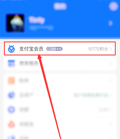 怎么用支付宝的会员积分兑换商品