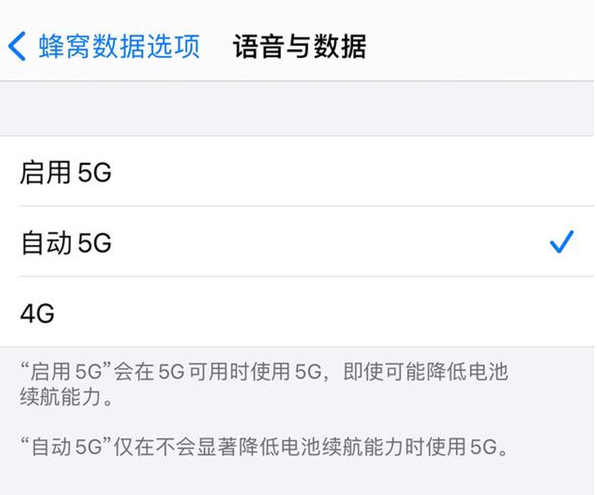 苹果12mini在哪启用5g移动数据