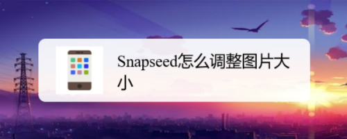 小编分享Snapseed图片像素怎么调。