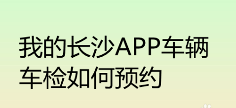 我来教你我的长沙app线上预约车检