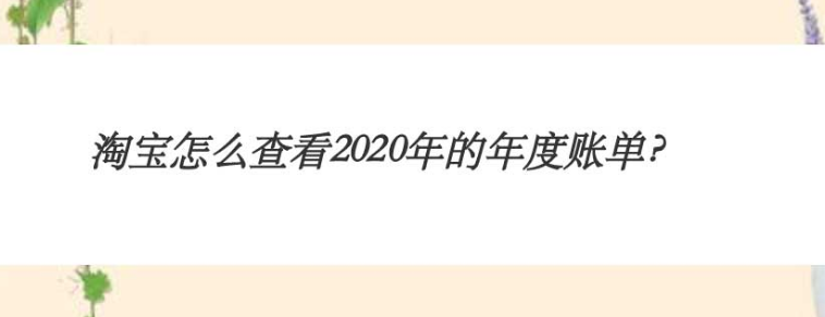 2020淘宝年度账单怎么看